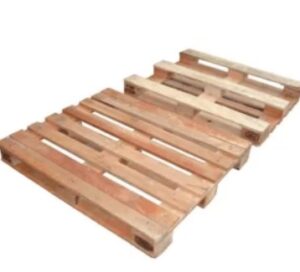 Imagem do WhatsApp de 2025-06-10 à(s) 11.22.58_90185b0f